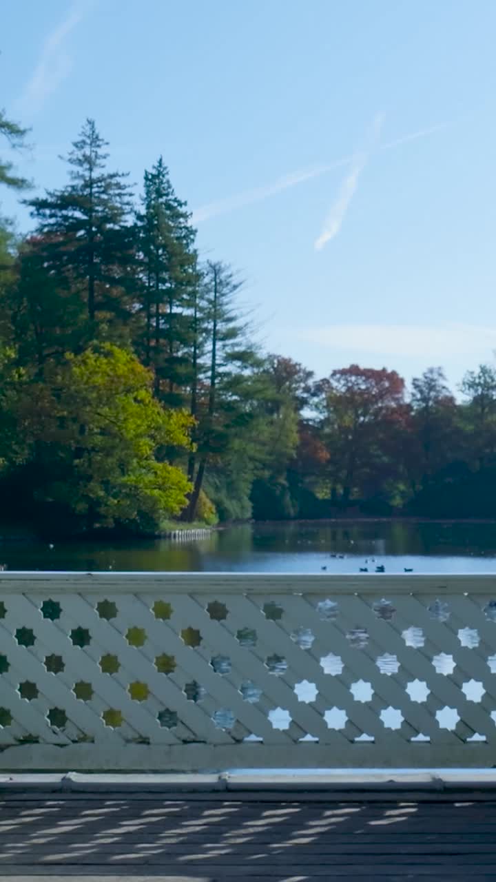 Scenic Lake View with Trees and Bridge