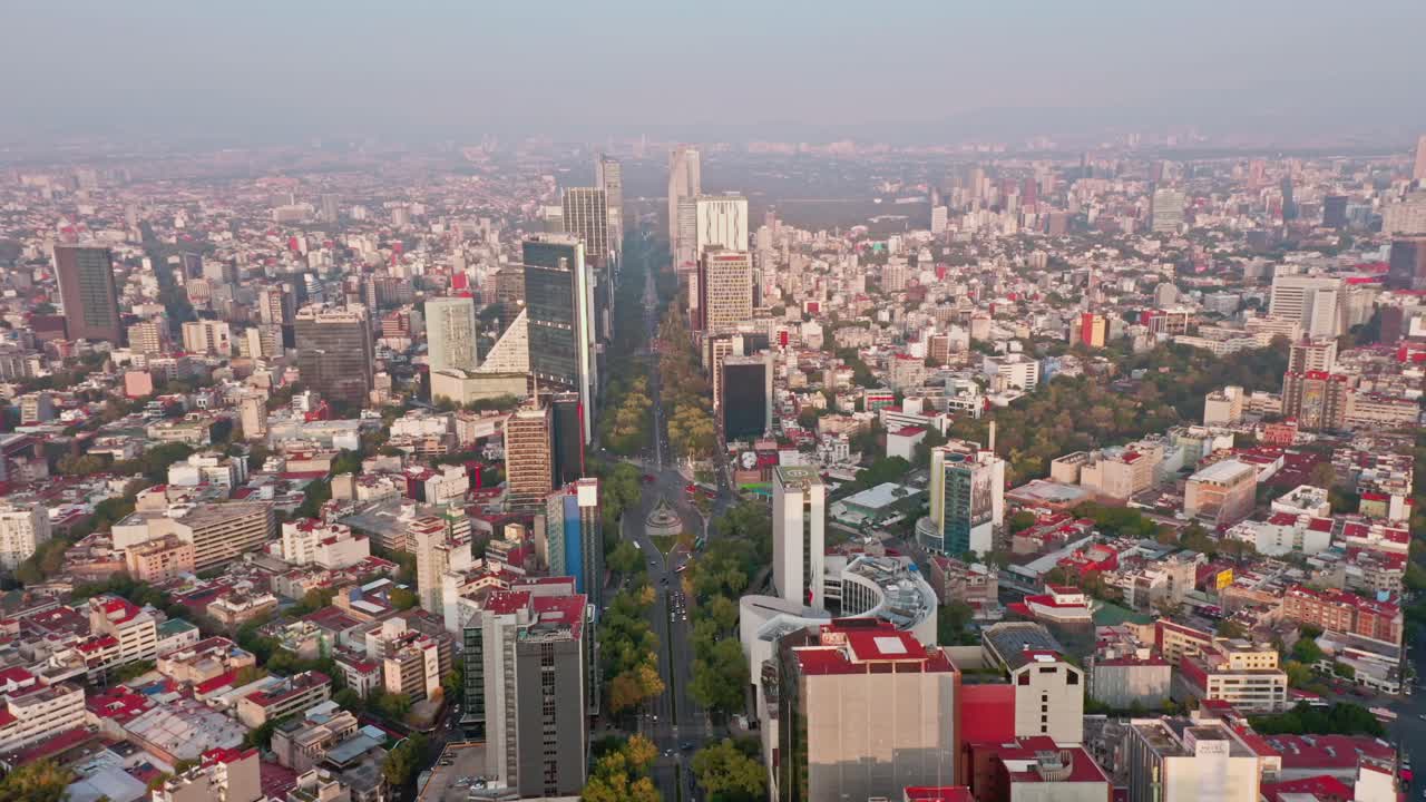vista aérea de pájaros volando sobre el hermoso paisaje urbano en reforma, ciudad de méxico