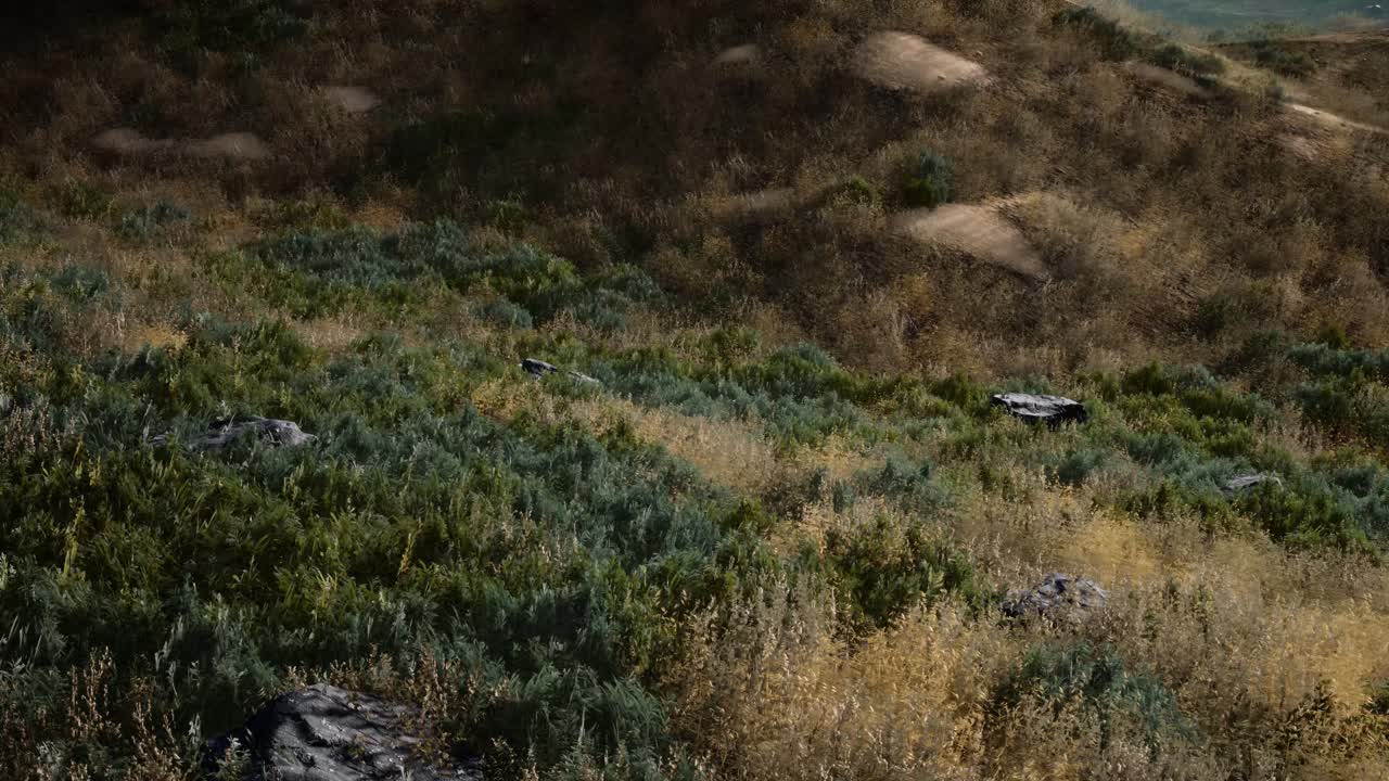 los rayos del atardecer a través de las palmeras