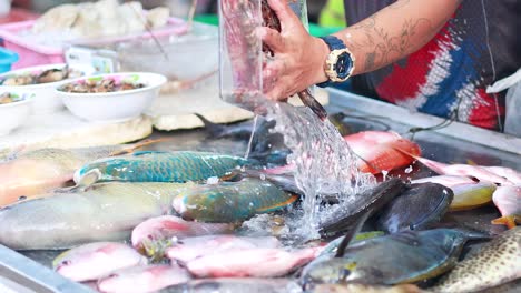 fresh seafood being prepared at a market stall