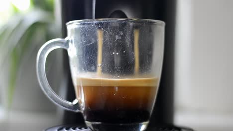 time lapse of freshly brewed coffee running into a glass cup in front of a bright bokeh background