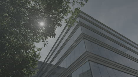 abstract slowmotion shot of a static office building on a sunny day with reflections in the glass of the sun a green trees in front log