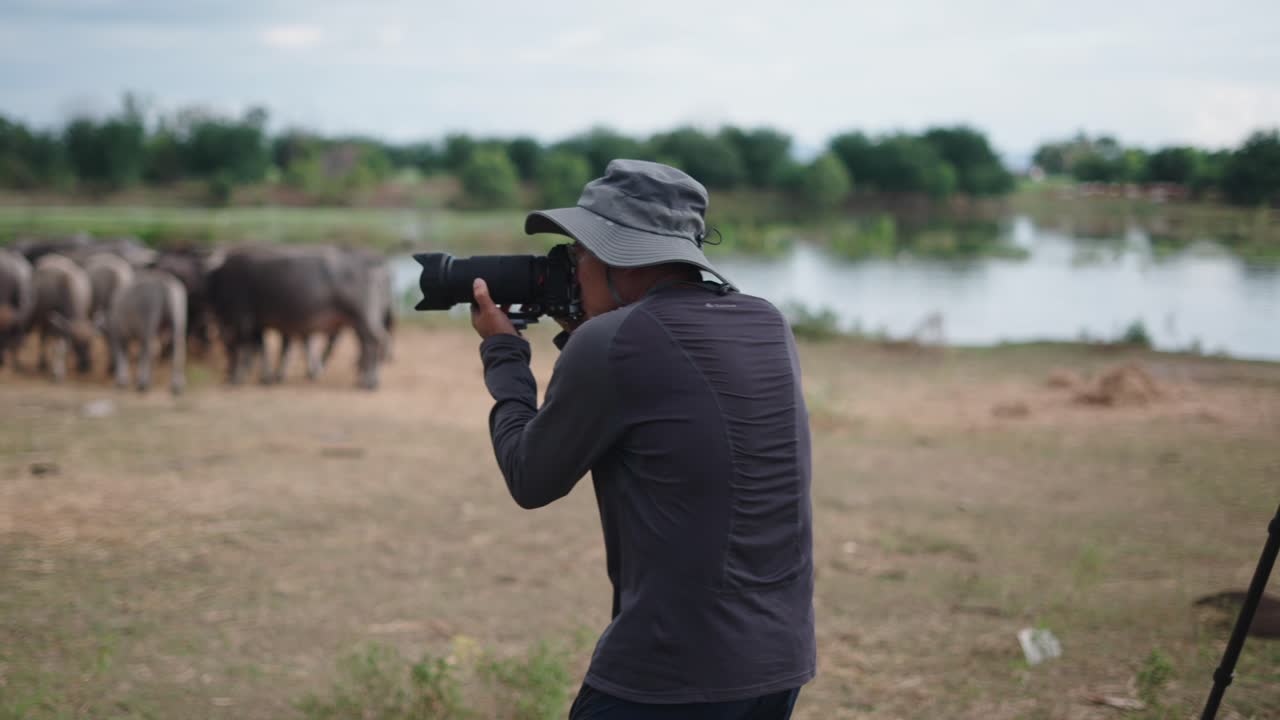 Photographer capturing water buffalo in rural setting