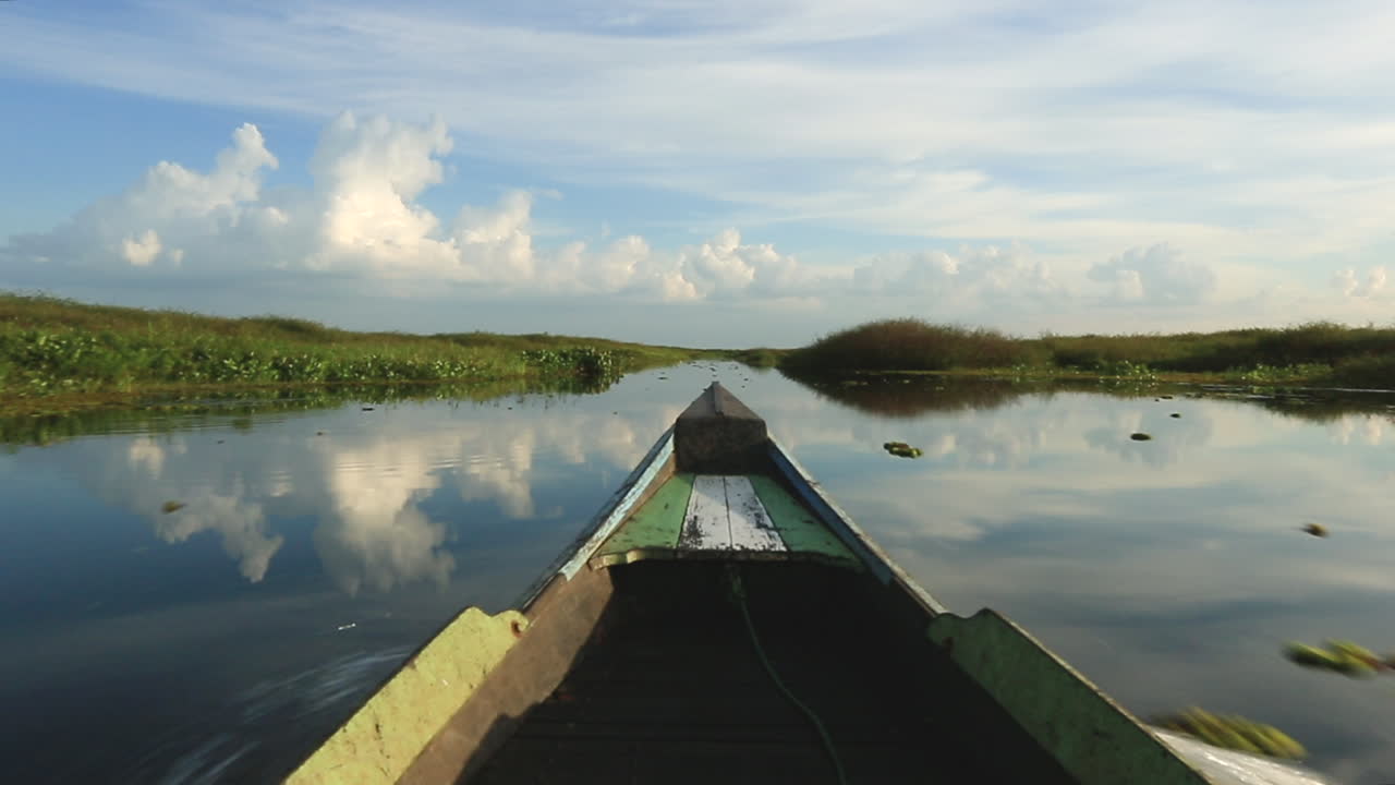 paseo en bote por un pantano en kalimantan