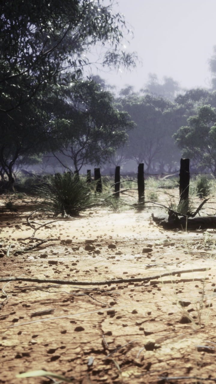 Dusty pathway with fence posts surrounded by trees and brush in the afternoon