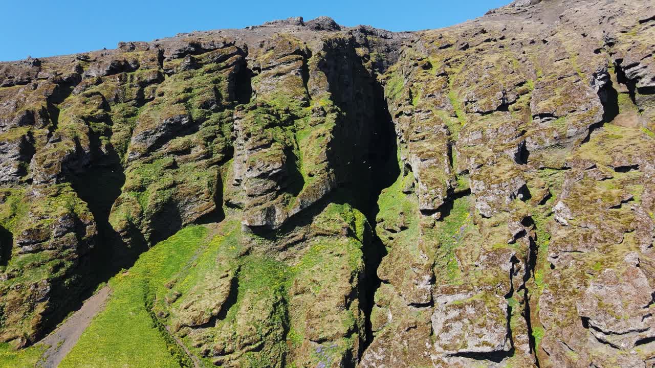 Big cliff on Iceland with flying birds