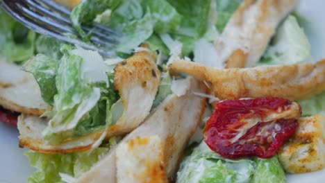 close-up of a delicious caesar salad with grilled chicken and sun-dried tomatoes