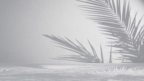 Eine-Palme-Hinterlässt-Schatten-Auf-Einer-Grauen-Hintergrundwand-Mit-Kopierraum
