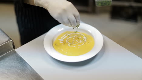 cook giving ready meal. cook giving to waitress ready to serve meal