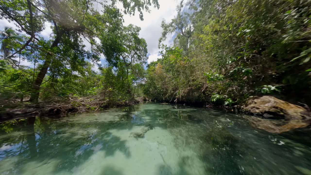 un dron fpv disparó bajo a través de la jungla y sobre un río azul poco profundo, en un día soleado