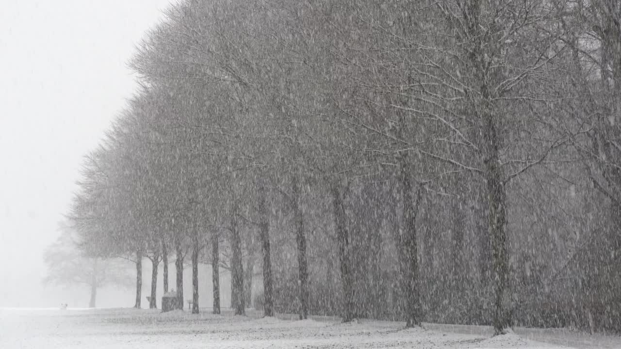 Forti nevicate a Hamburg Stadpark