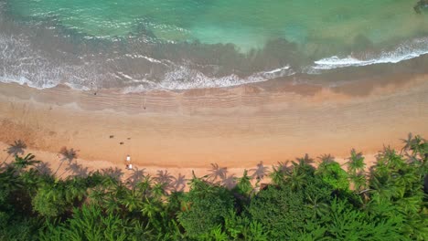 aerial view over people bathing in the bom bom beach at ilha do principe (prince island),africa