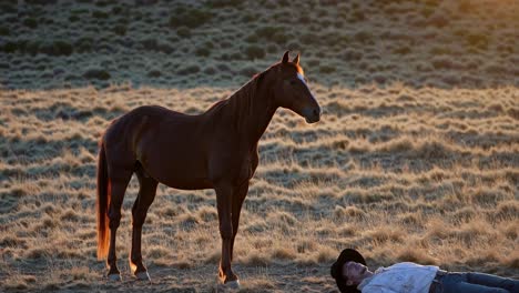 Cowboy and Horse at Sunset
