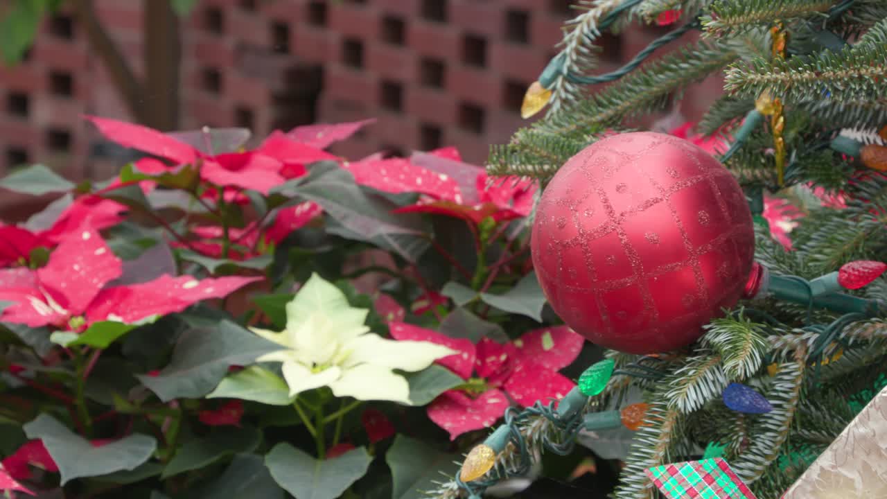 축제 장식물 과 은 포인세티아 로 장식 된 크리스마스 트리