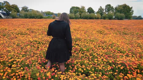 back of woman in dress stands in marigold flower field looks down up and around