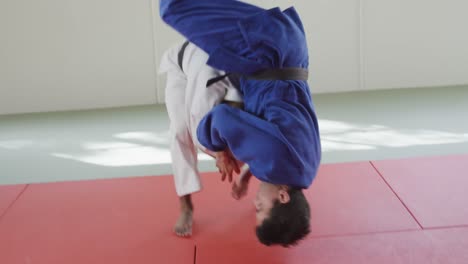 judokas training by doing a randori on the judo mat