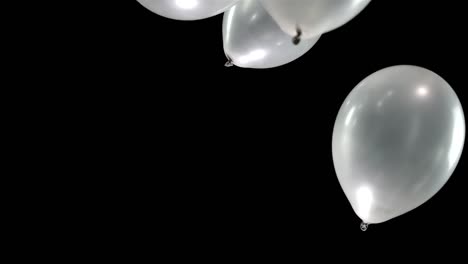 a few silver balloons drift effortlessly in slow motion, their metallic surfaces gleaming against the dark blackground. the smooth, slow movement creates a hypnotic visual that captures pure elegance.