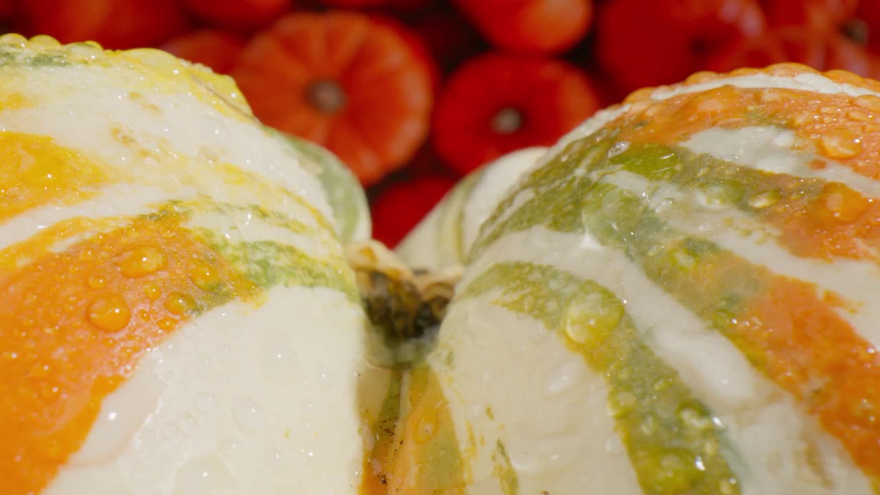 카메라로 움직이는 오렌지 호박의 매크로 뷰 클로즈업