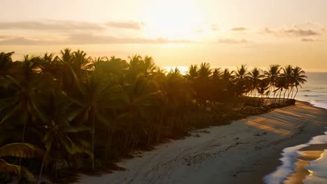 stunning sunset on a tropical beach