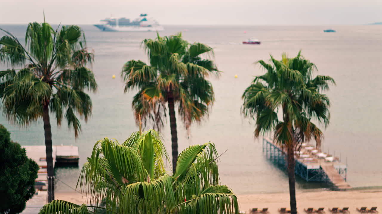 Palm trees with a distant blurred view of a white cruise ship moving on the sea on a cloudy day