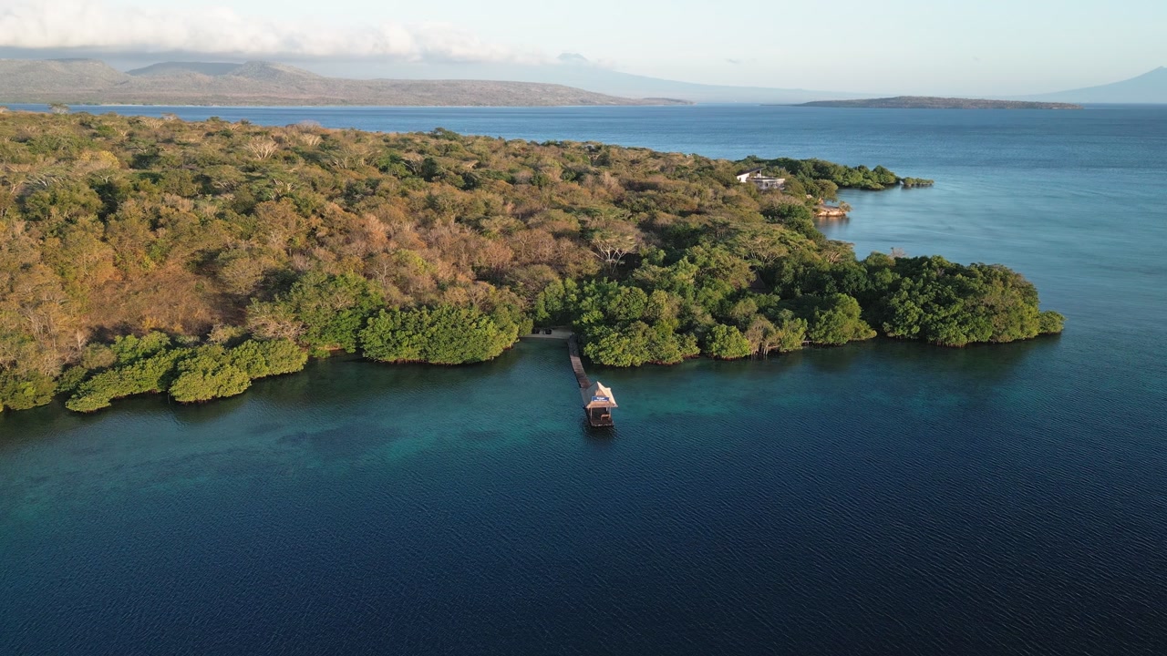 Stunning drone aerial capturing lush forest, clear ocean, and distant mountains around Menjangan Island in West Bali National Park, showcasing untouched tropical beauty and scenic coastal landscape.
