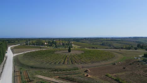 Perfecta-Vista-Aérea-Superior-Vuelo-Ciprés-Toscana-Zona-Vitivinícola-Mediterráneo-Italia-Otoño-23