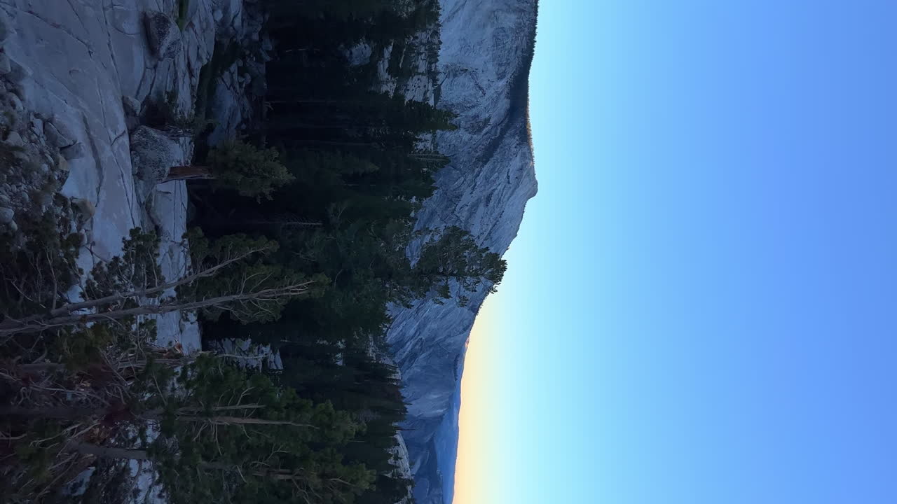 vista vertical de los pinos y la mitad de la cumbre de la cúpula al amanecer desde el punto de olmsted en el parque nacional de yosemite, california