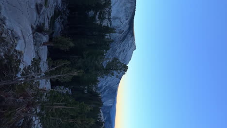 Vertical-View-Of-Pine-Trees-And-Half-Dome-Summit-At-Sunrise-from-Olmsted-Point-In-Yosemite-National-Park,-California