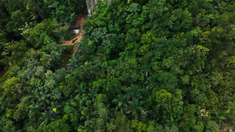 cinematic drone shot of a hidden jungle waterfall flowing in harmony with nature. ideal for themes of discovery, peace, and tropical exploration