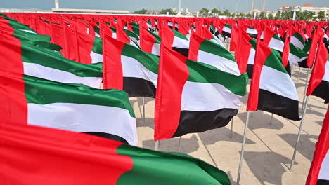 uae flags are on display at the flag garden to celebrate uae flag day, which is located at jumeirah public beach in dubai, united arab emirates