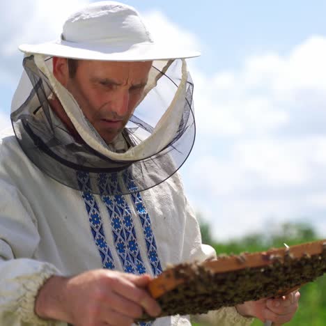 beekeeper holding a honeycomb full of bees. beekeeper inspecting honeycomb frame at apiary on sky background. beekeeping concept.