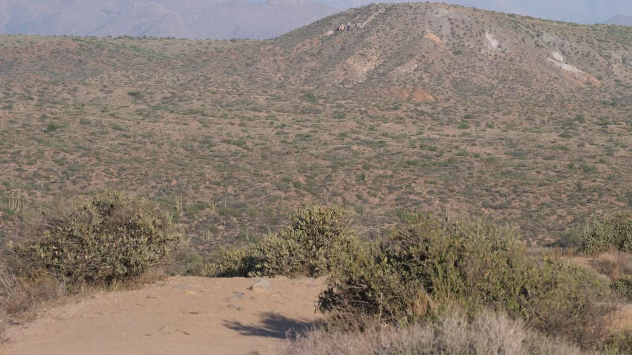mujer punk de pelo corto corre por un camino de tierra en el desierto