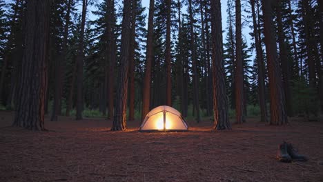 camping in the woods at dusk