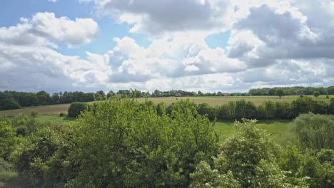 Desplazamiento-Horizontal-De-Campos-Y-árboles-Desde-La-Perspectiva-De-Un-Dron