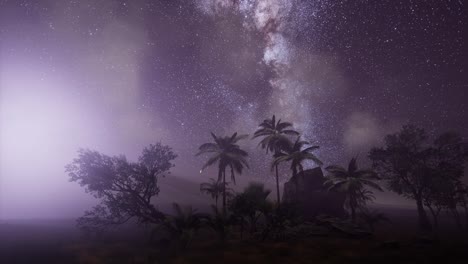 la galaxia de la vía láctea sobre la selva tropical.