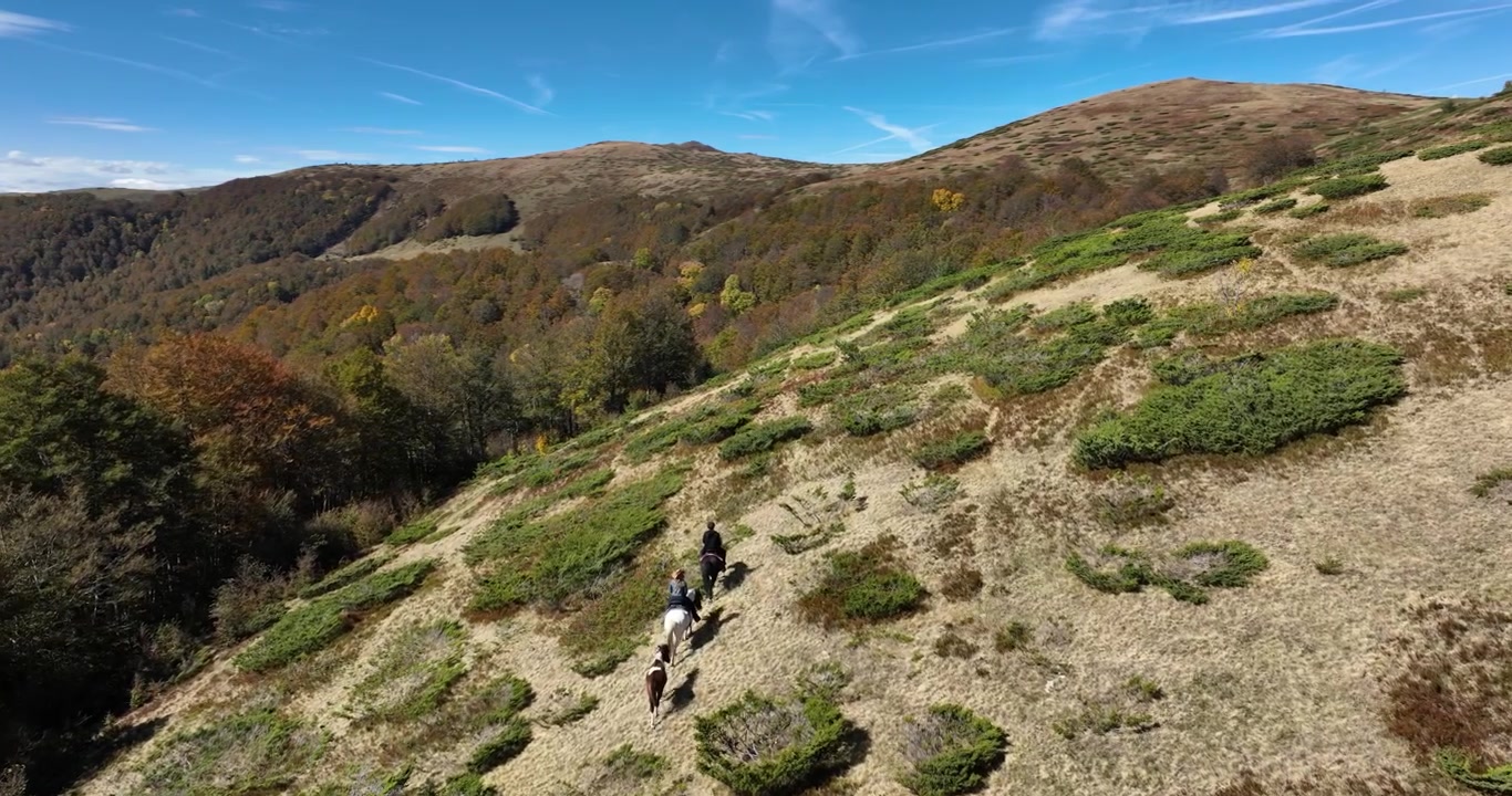 Un gruppo che fa escursioni a cavallo sulle dolci colline verdi di Kolasin in autunno, vista aerea