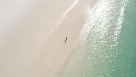 Birds-Eye-Aerial-View-of-Woman-Walking-Alone-on-Big-White-Sand-Beach-by-Turquoise-Ocean-Water