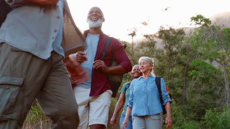 fotografía en bajo ángulo de un grupo multicultural de amigos mayores disfrutando de una caminata por el campo