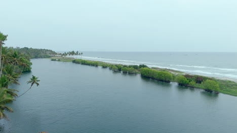 Manglares-En-La-Orilla-Del-Lago-Y-La-Orilla-Del-Mar