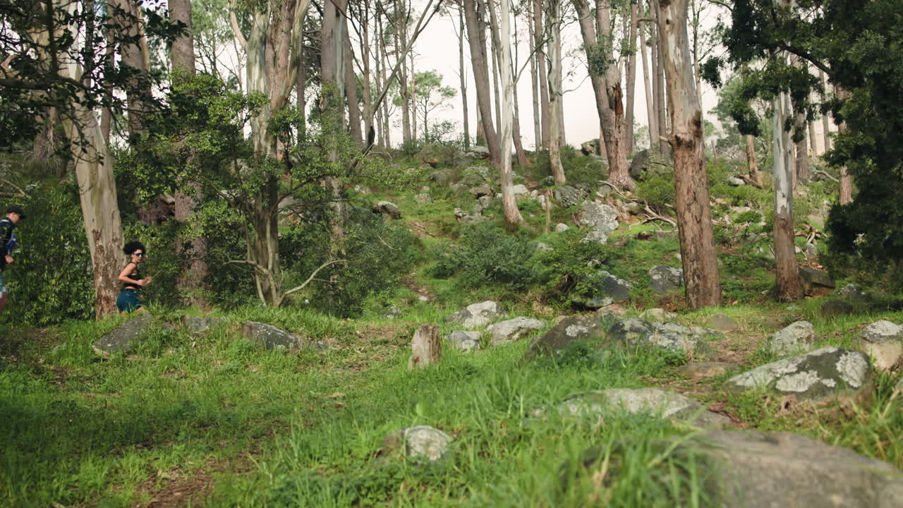 People running on a trail in a forest