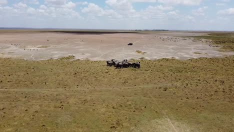 Elefantenherde-Per-Drohne-In-Der-Afrikanischen-Savanne-In-Kenia