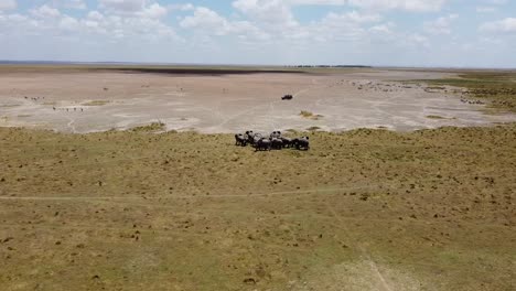 manada de elefantes por avión no tripulado en la sabana africana de kenia