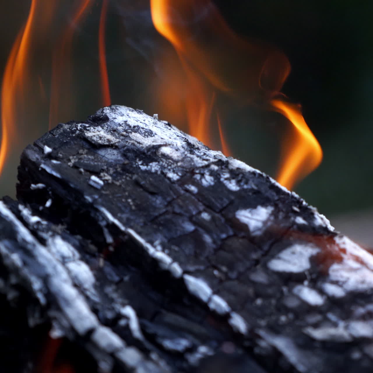 Bonfire. Burning Wood. Concept of camping and active pastime.