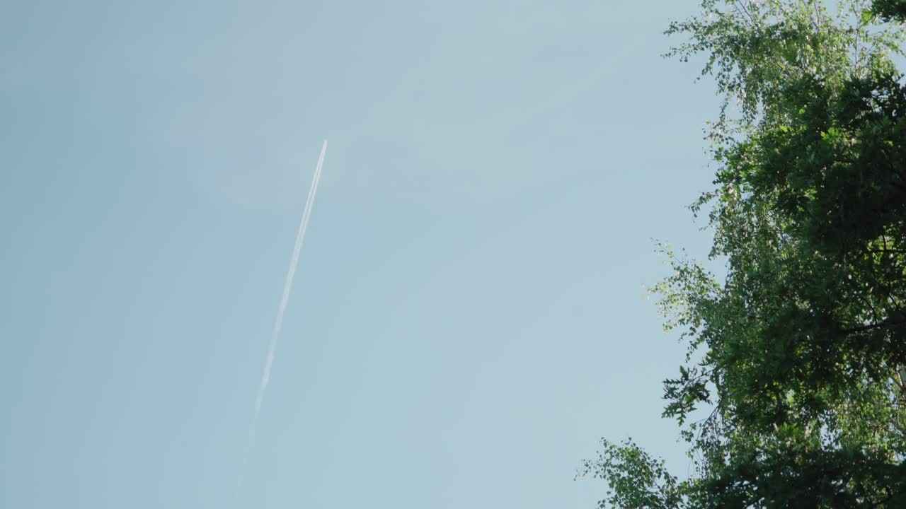 Cielo azzurro con scia di aereo e alberi in una giornata di sole, atmosfera serena