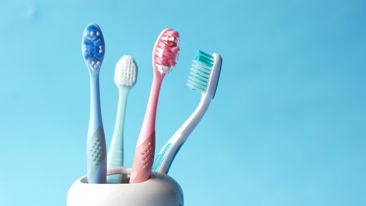 cepillos de dientes en un soporte