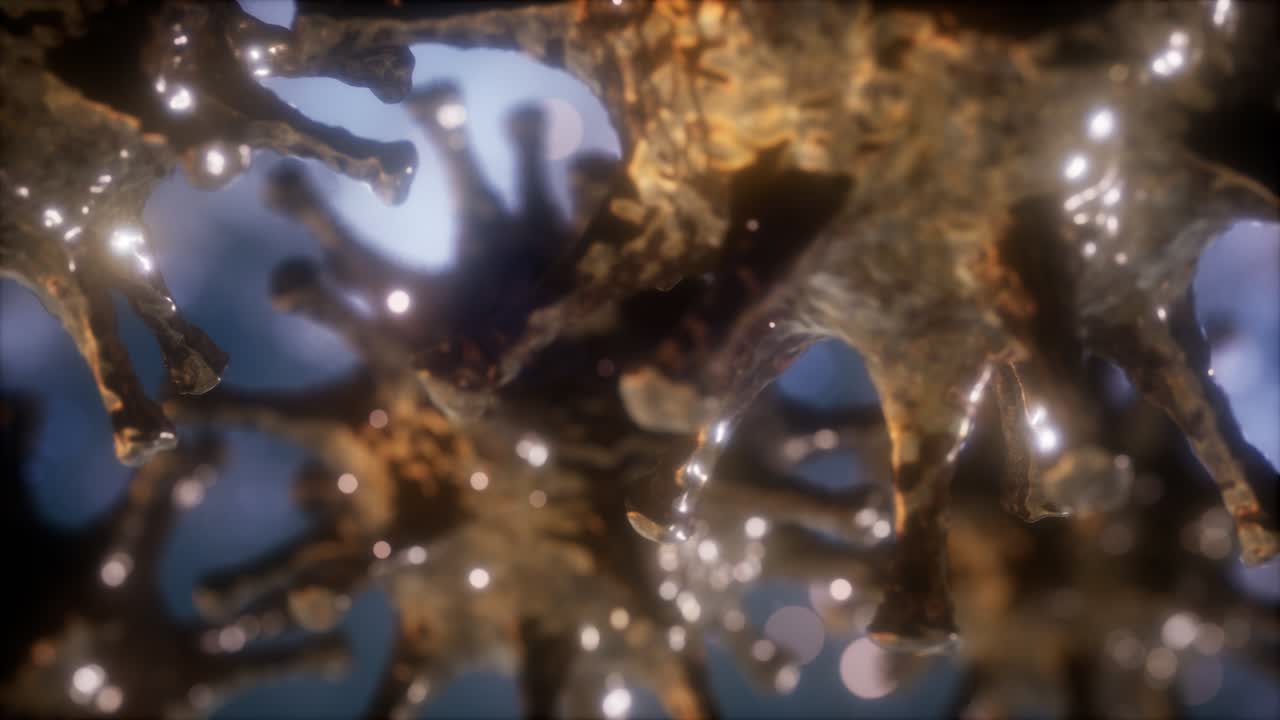 코로나 바이러스 ncov 호흡기 바이러스 개념