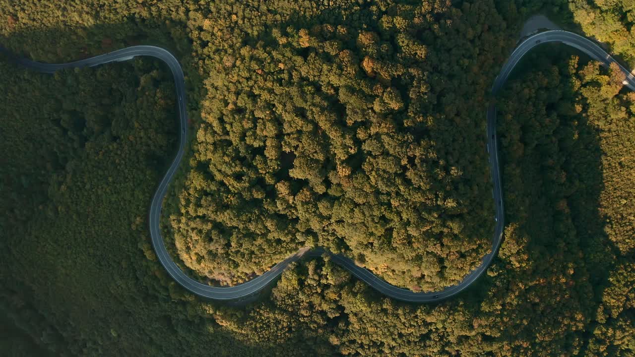 zoom aéreo en vista de imágenes de drones de autos conduciendo en un camino sinuoso en forma de corazón en medio de un bosque
