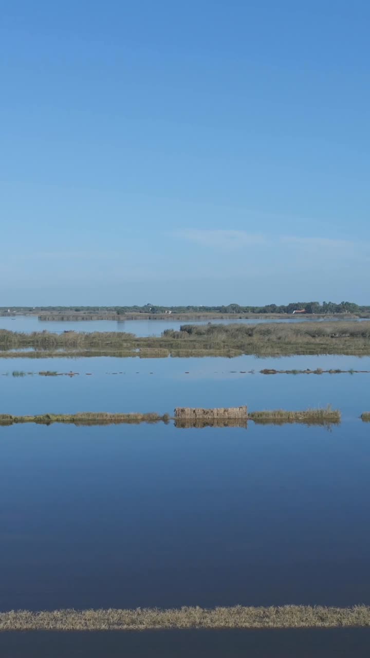 Vast Wetlands Landscape with Blue Sky Reflection