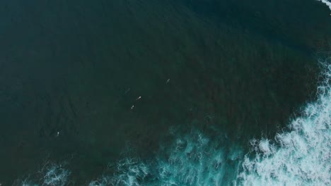 Imágenes-Aéreas-De-Surfistas-Disfrutando-De-Las-Olas-En-La-Bahía-De-Mount-Irvine-En-La-Isla-Caribeña-De-Tobago