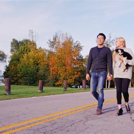 young couple walks the dog